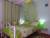 chambre Iguane
